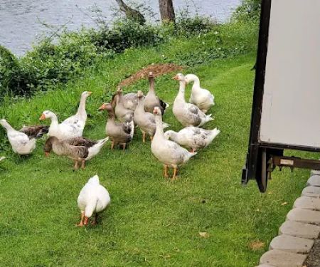 Bridgeview RV Resort