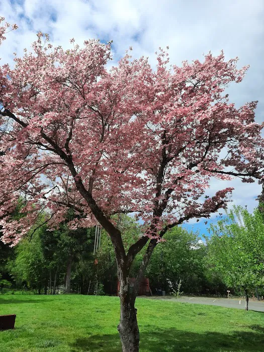 Bridgeview RV Resort Picture 3