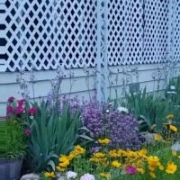 Central Rogue Mobile Home Park ico