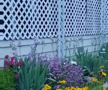 Central Rogue Mobile Home Park