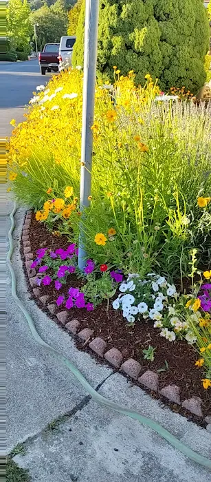 Central Rogue Mobile Home Park Picture 2