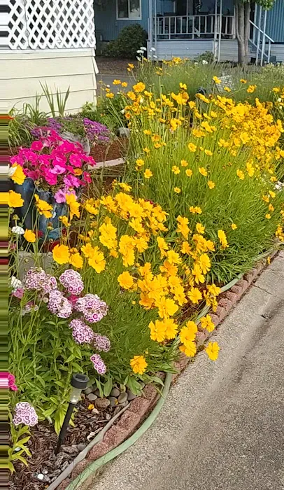 Central Rogue Mobile Home Park Picture 3