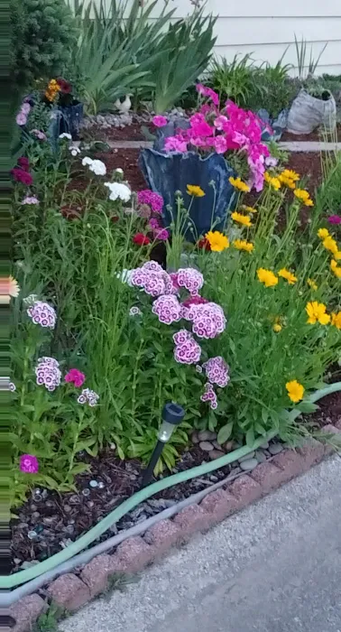 Central Rogue Mobile Home Park Picture 4