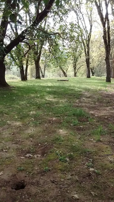 Cypress Grove RV Park Picture 5