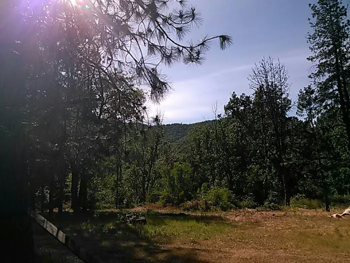 Cypress Grove RV Park Picture 1