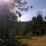 Cypress Grove RV Park