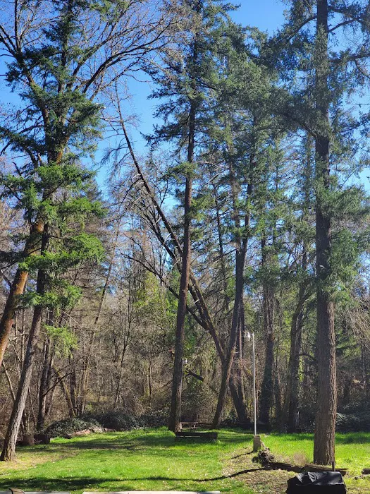 Gold Hill MH & RV Park Picture 9