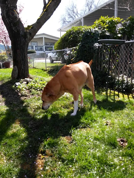 Madrone Hill Mobile Home Park Picture 1