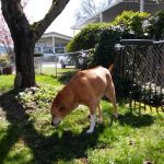 Madrone Hill Mobile Home Park