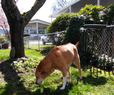 Madrone Hill Mobile Home Park