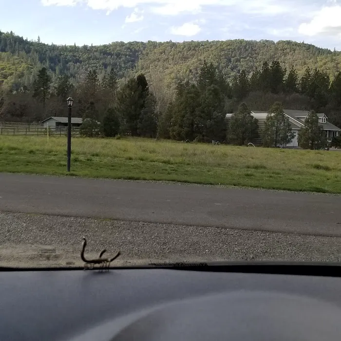 Madrone Hill Mobile Home Park Picture 6