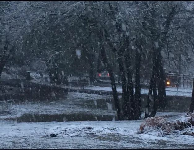 Nestled In Hills Picture 4