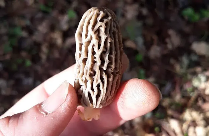 Nestled In Hills Picture 3