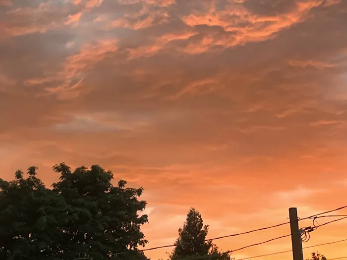 Rustic Mobile Home & Rv Park Picture 2