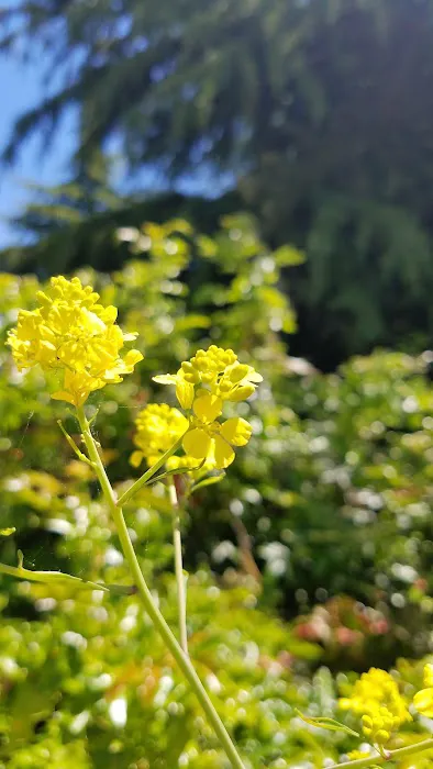 Greenbrier Terrace Mobile Comm Picture 1