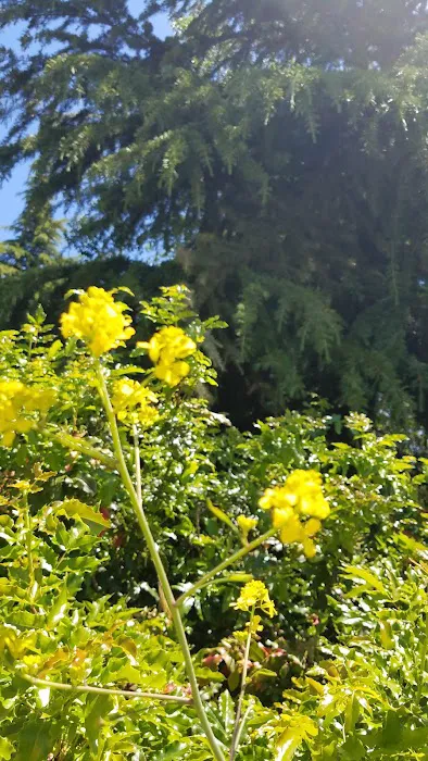 Greenbrier Terrace Mobile Comm Picture 2