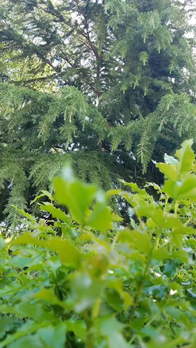 Greenbrier Terrace Mobile Comm Picture 5