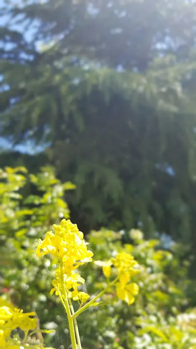 Greenbrier Terrace Mobile Comm Picture 3