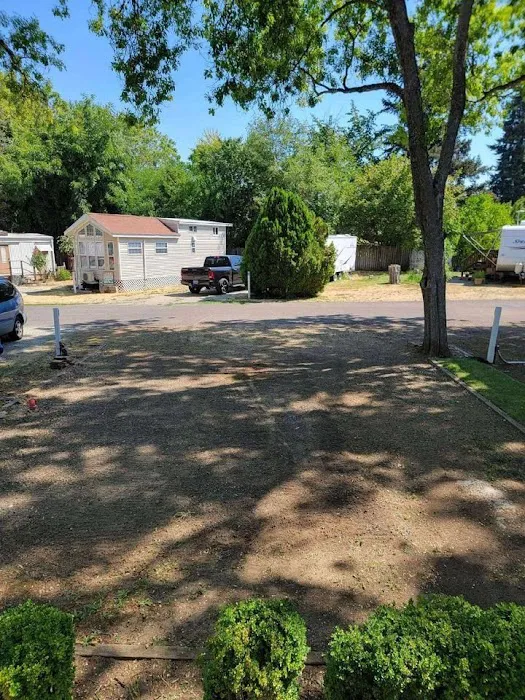 Jacksonville RV Resort Picture 9