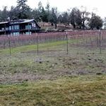 Jacksonville RV Resort