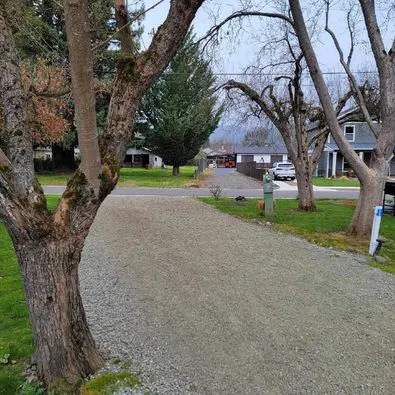 Jacksonville RV Resort Picture 7