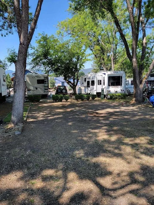 Jacksonville RV Resort Picture 4