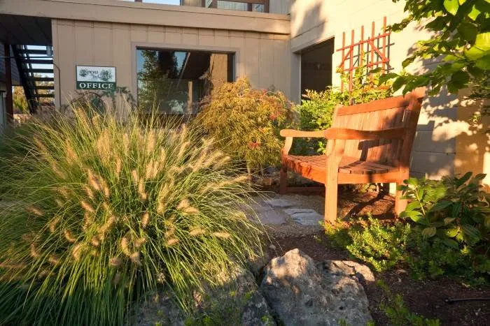 Aspens On the Creek Picture 8