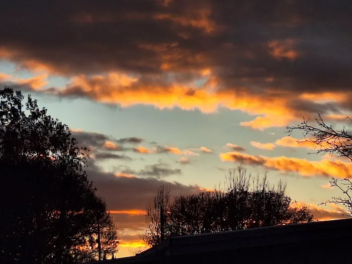 Aspens On the Creek Picture 1