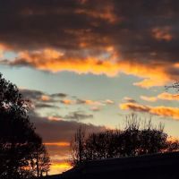 Aspens On the Creek ico