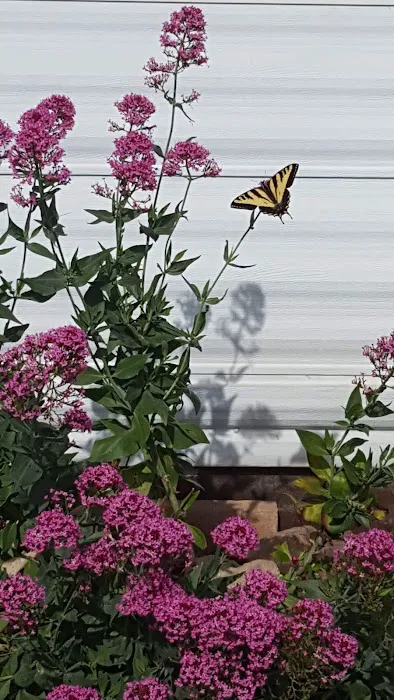 Aspens On the Creek Picture 2