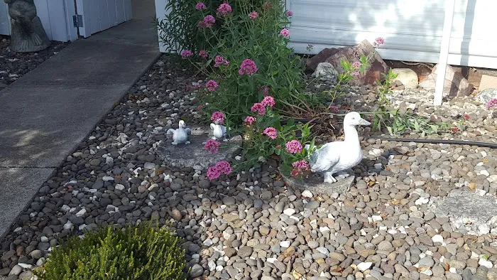 Aspens On the Creek Picture 3