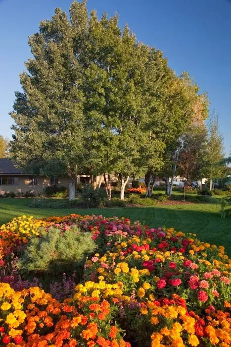 Aspens On the Creek Picture 6