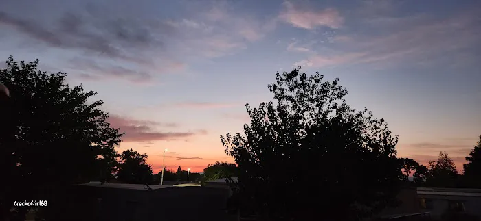 Aloha Sun Mobile Estates Picture 4