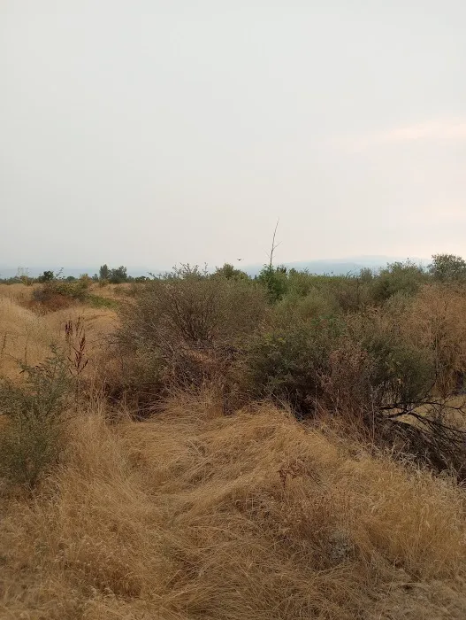 Colonial Mobile Estates Picture 1