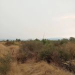 Colonial Mobile Estates