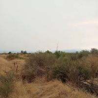 Colonial Mobile Estates ico