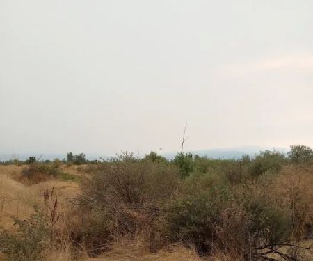 Colonial Mobile Estates