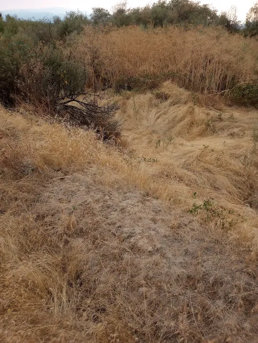 Colonial Mobile Estates Picture 2