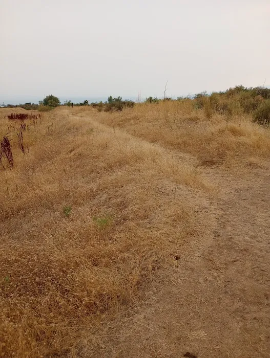 Colonial Mobile Estates Picture 3