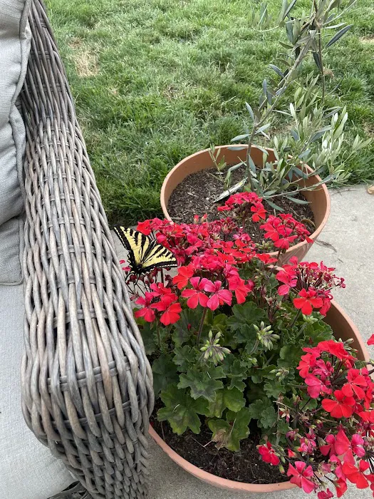 Spring View Estates Picture 1