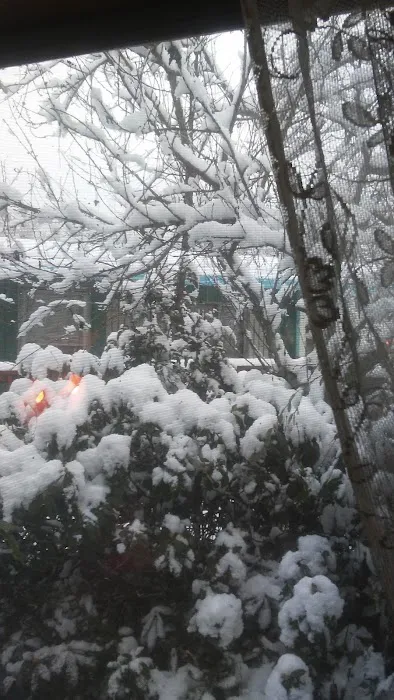 Glenwood Mobile Home Park Picture 9