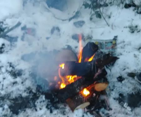 Carefree Mobile Village