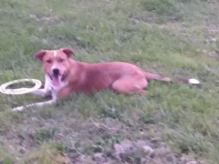 Eagle Trailer Park Picture 8