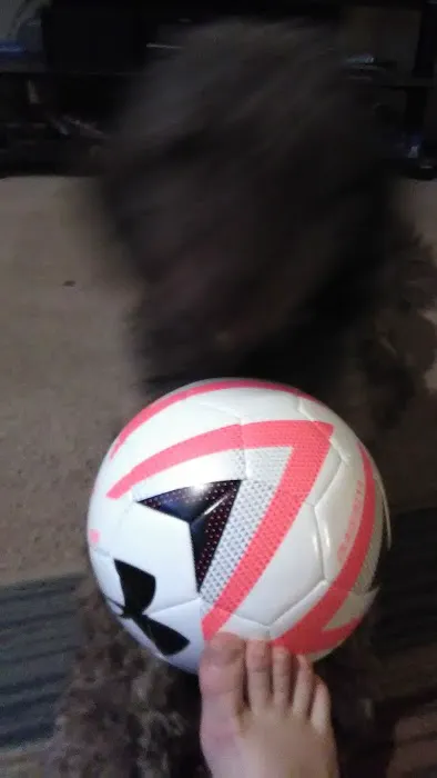 Eagle Trailer Park Picture 7