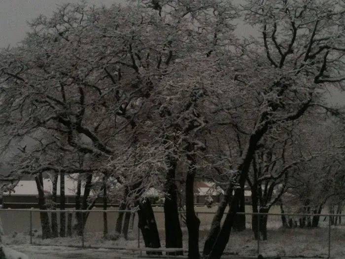 Idlewood Mobile Park Picture 8