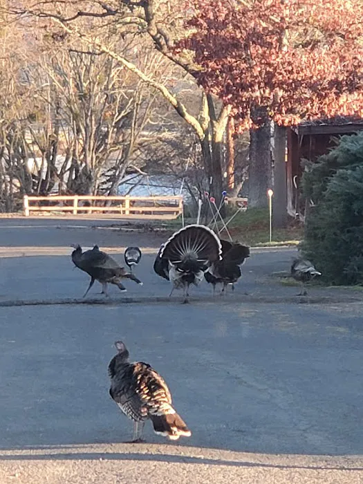 Oak Hill Mobile Estates Picture 7