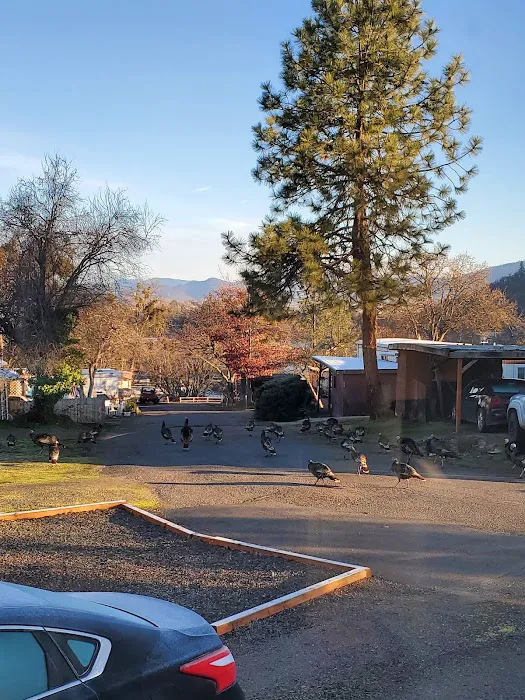 Oak Hill Mobile Estates Picture 9