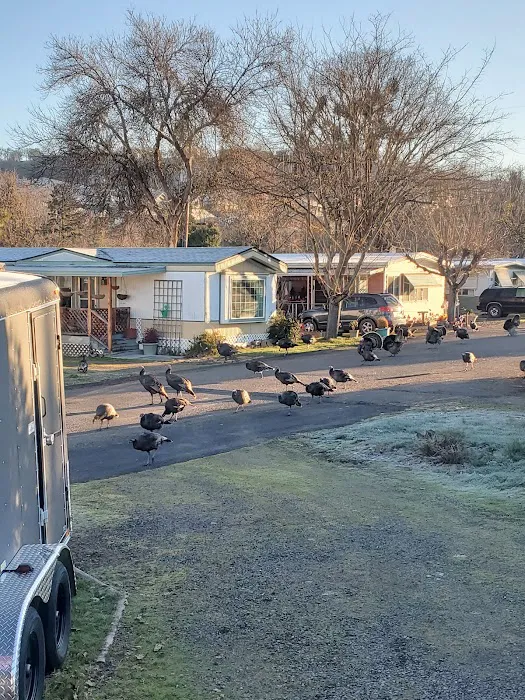 Oak Hill Mobile Estates Picture 8