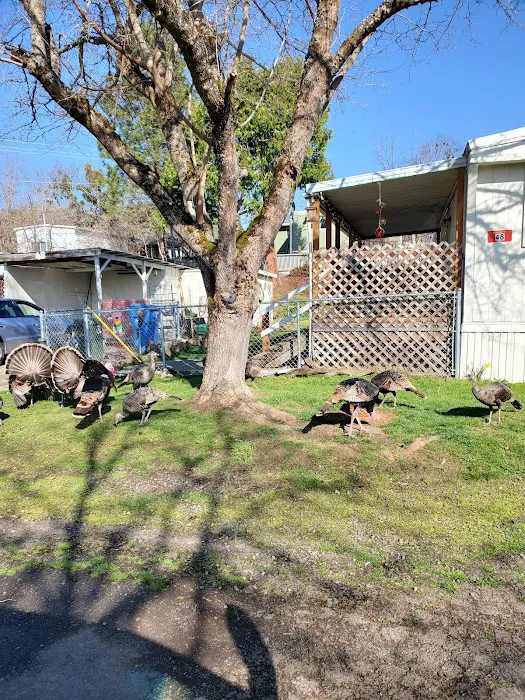 Oak Hill Mobile Estates Picture 10