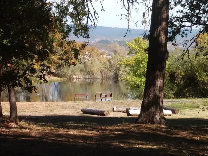 Medford Oaks RV Park Picture 7